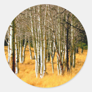 aspen trees sticker