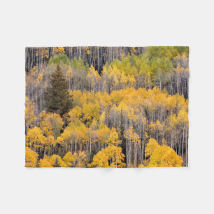 Aspen Trees   White River National Forest Fleece Blanket