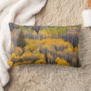 Aspen Trees White River National Forest Lumbar Pillow