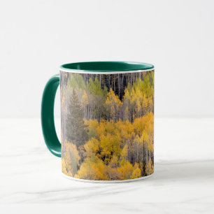 Aspen Trees White River National Forest Mug