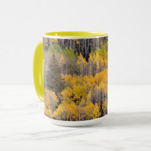 Aspen Trees   White River National Forest Mug