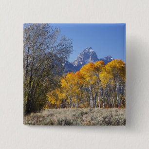 Aspen trees with the Teton mountain range 2 Inch Square Button