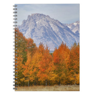 Aspen trees with the Teton mountain range 5 Notebook