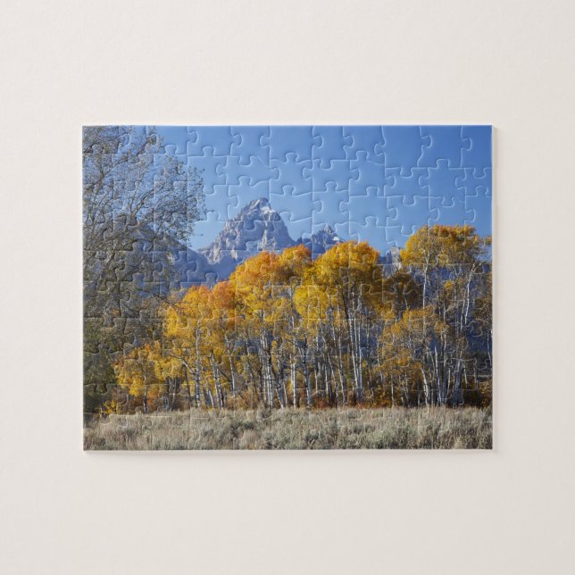 Aspen trees with the Teton mountain range Jigsaw Puzzle (Horizontal)