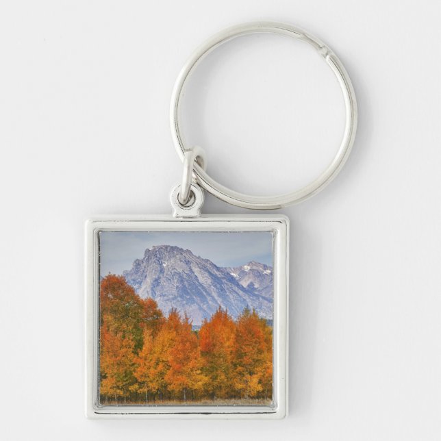 Aspen trees with the Teton mountain range Keychain (Front)