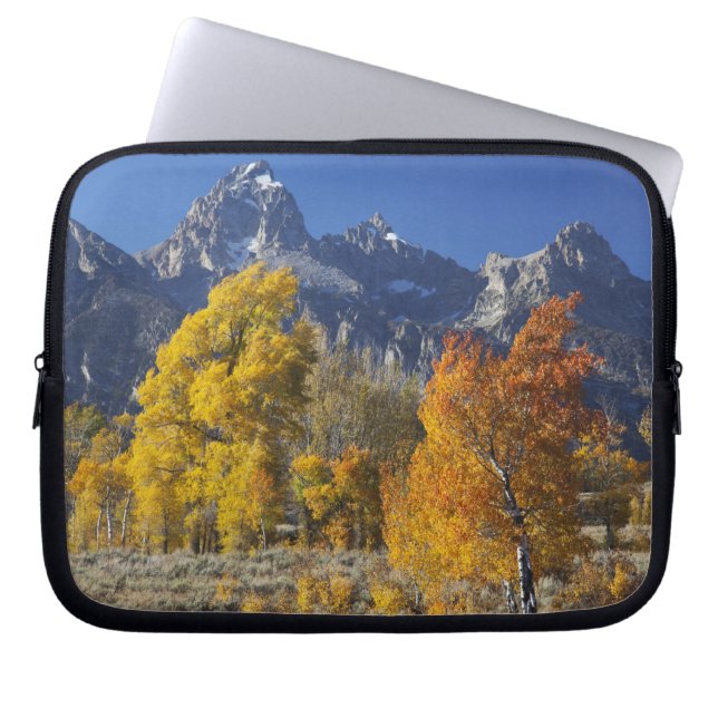 Aspen trees with the Teton mountain range Laptop Sleeve (Front)