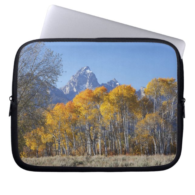 Aspen trees with the Teton mountain range Laptop Sleeve (Front)