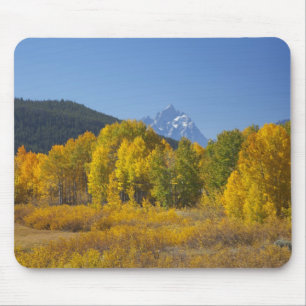 Aspen trees with the Teton mountain range Mouse Pad