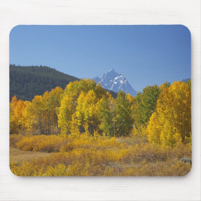 Aspen trees with the Teton mountain range Mouse Pad (Front)
