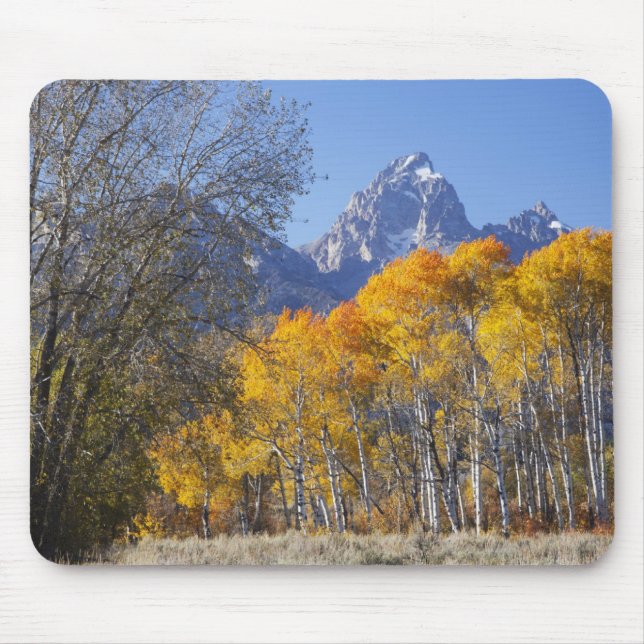 Aspen trees with the Teton mountain range Mouse Pad (Front)