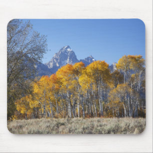 Aspen trees with the Teton mountain range Mouse Pad