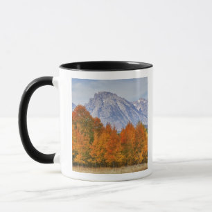 Aspen trees with the Teton mountain range Mug