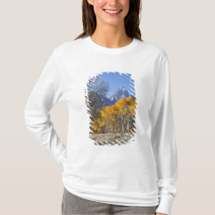 Aspen trees with the Teton mountain range T-Shirt
