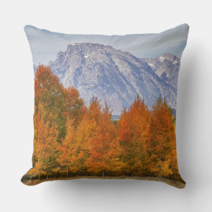 Aspen trees with the Teton mountain range Throw Pillow