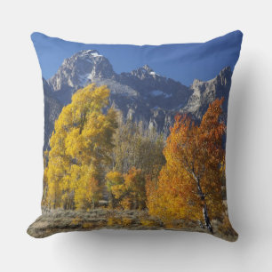 Aspen trees with the Teton mountain range Throw Pillow