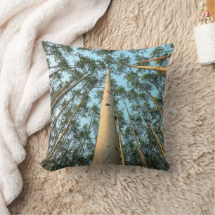 Aspen Trunks And Leaves, Yukon Throw Pillow