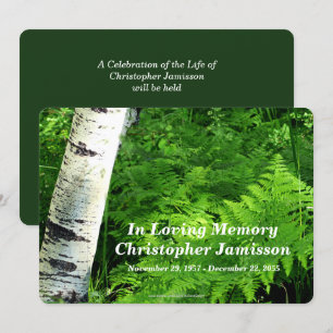 Aspen with Ferns, Celebration of Life Invitation
