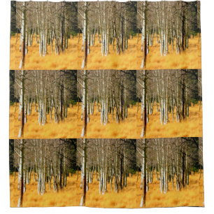 aspen woods