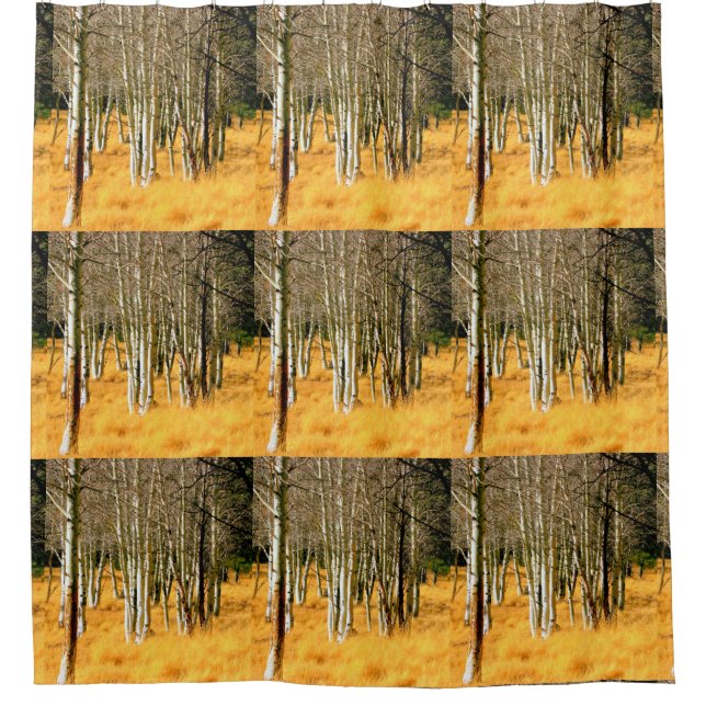 aspen woods (Front)