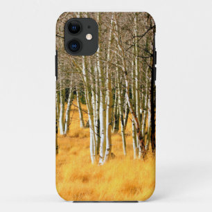 aspen woods case