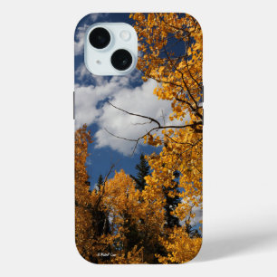 Aspens - A MisterP Case