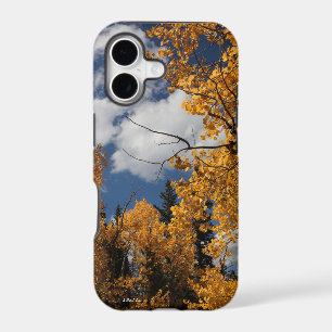 Aspens - A MisterP Case