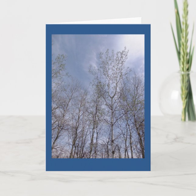 Aspens Against A Wisconsin Sky II Blank Note Card (Front)