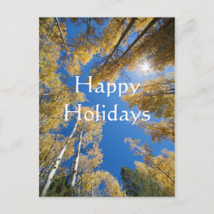 Aspen's all around, Happy Holidays Holiday Postcard