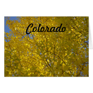Aspens Card