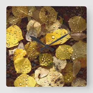 Aspens in the Mountains Clock