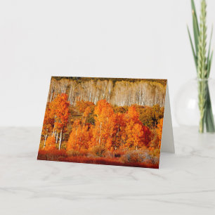 Aspens Kolob Zion NP Utah Blank Greeting Card