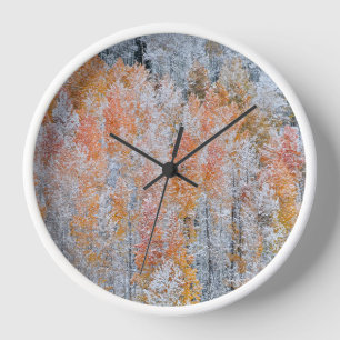 Aspens & Snow   Rocky Mountains, Colorado Clock