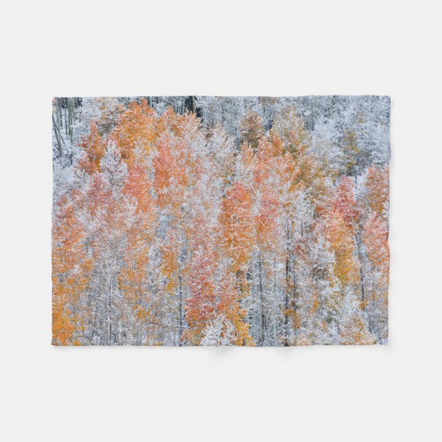 Aspens & Snow | Rocky Mountains, Colorado Fleece Blanket (Front (Horizontal))