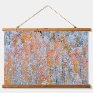 Aspens & Snow   Rocky Mountains, Colorado Hanging Tapestry