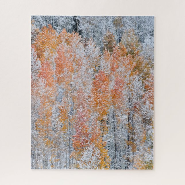 Aspens & Snow | Rocky Mountains, Colorado Jigsaw Puzzle (Vertical)