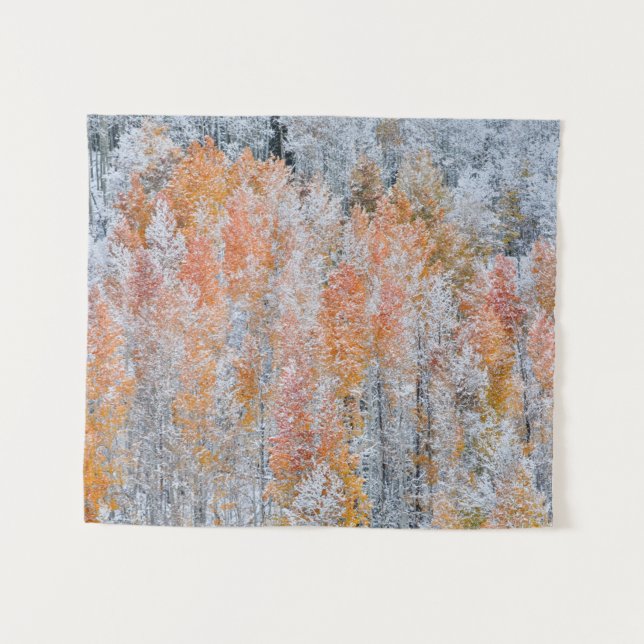 Aspens & Snow | Rocky Mountains, Colorado Tapestry (Front (Horizontal))