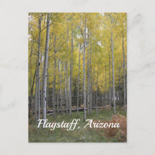 Aspen's yellow glow from flagstaff postcard
