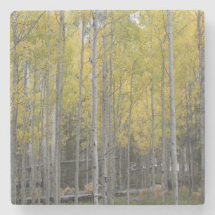 Aspen's yellow glow stone coaster