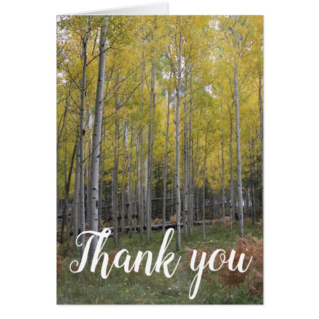 Aspen's Yellow Glow thank you (Front)