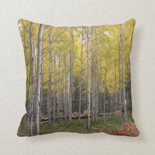 Aspen's yellow glow throw pillow
