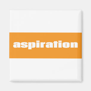 Aspiration Magnet