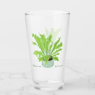 Asplenium Bird's nest fern - drawing on white.   Glass