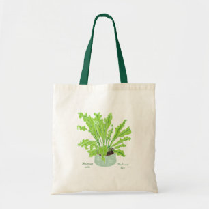 Asplenium Bird's nest fern - drawing on white. Tote Bag