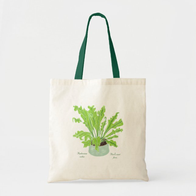 Asplenium Bird's nest fern - drawing on white.  Tote Bag (Front)