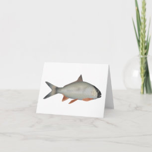 Assamese Kingfish Note Card