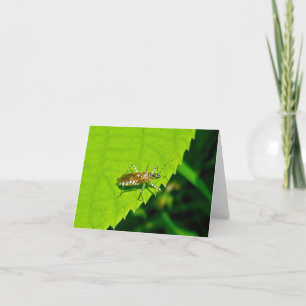 Assassin Bug in Prison Garb Note Card
