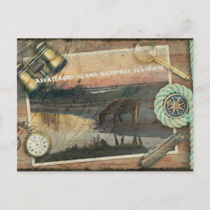 Assateague/Chincoteague Postcard