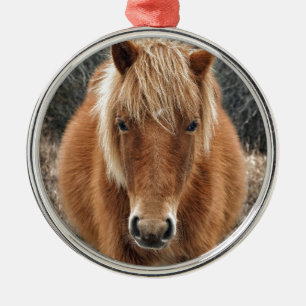Assateague Horse Mieke's Noe'lani Portrait Metal Ornament