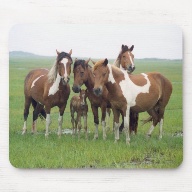 Assateague Island Horses Mousepad (Front)