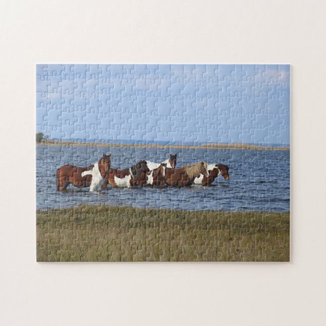 Assateague Island Horses wading offshore Jigsaw Puzzle (Horizontal)